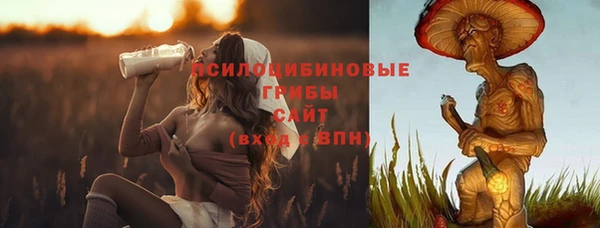 соль ск Касимов