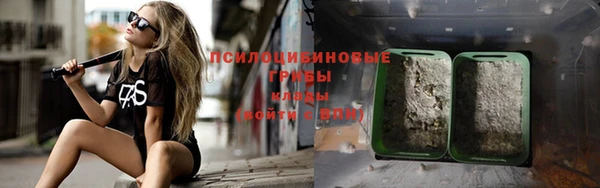 дживик Карпинск