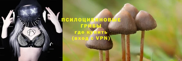дживик Карпинск