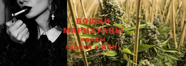 дживик Карпинск