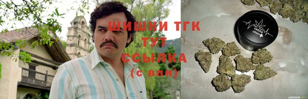 дживик Карпинск