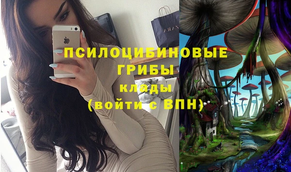 ALPHA-PVP Карталы