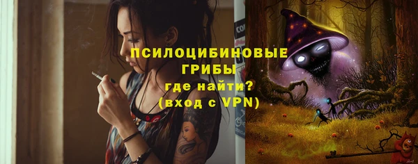 соль ск Касимов