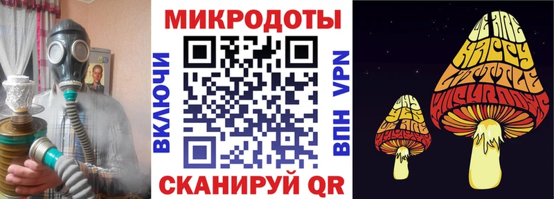 Купить закладки  Вязники  Галлюциногенные грибы ЛСД 